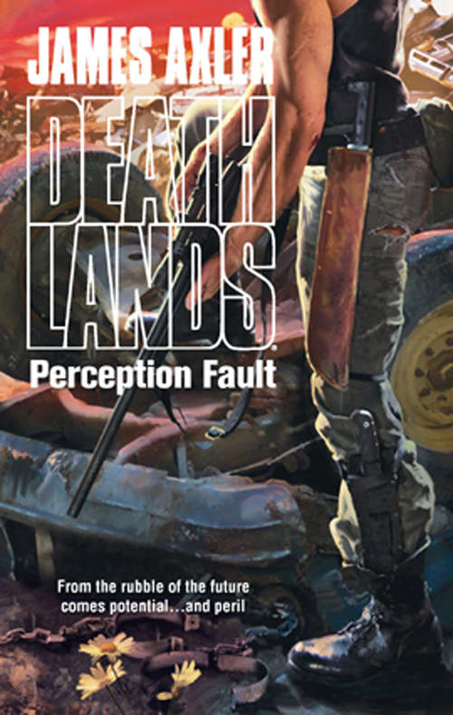 Book cover of Perception Fault (ePub First edition)