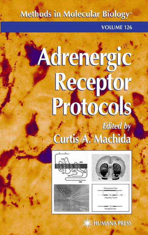 Book cover of Adrenergic Receptor Protocols (2000) (Methods in Molecular Biology #126)