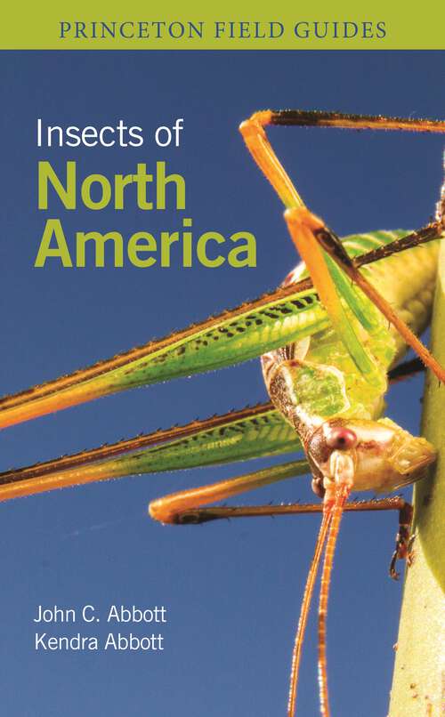 Book cover of Insects of North America (Princeton Field Guides #157)