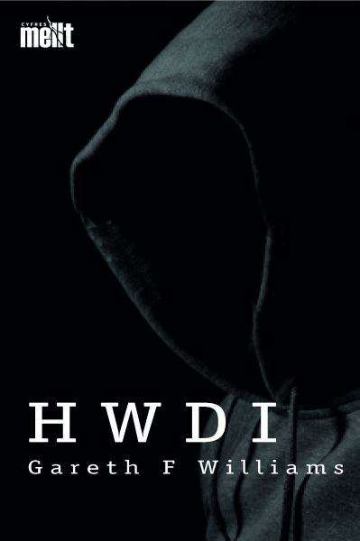 Book cover of Hwdi (Cyfres Mellt)