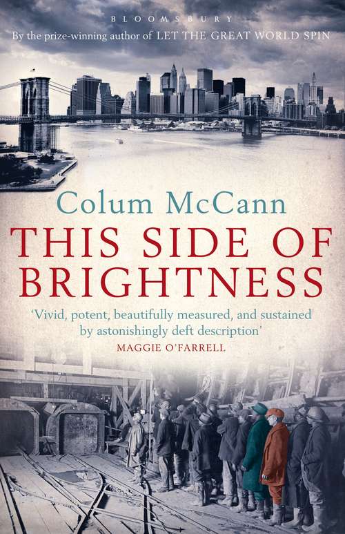 Book cover of This Side of Brightness: A Novel