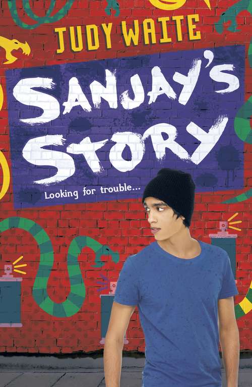 Book cover of Sanjay's Story (High/Low)