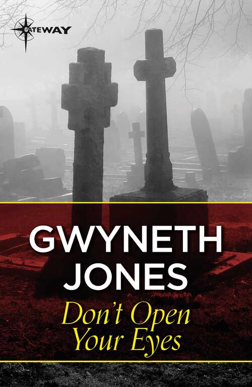 Book cover of Don't Open Your Eyes