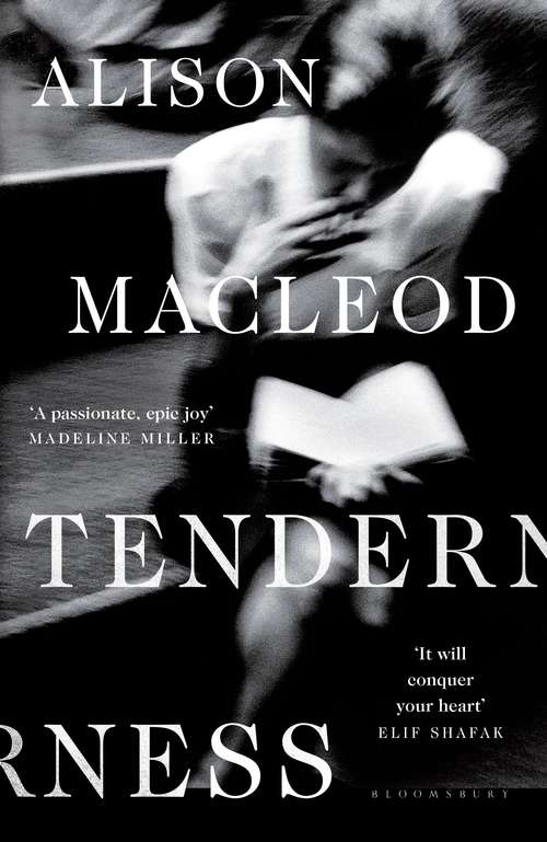 Book cover of Tenderness