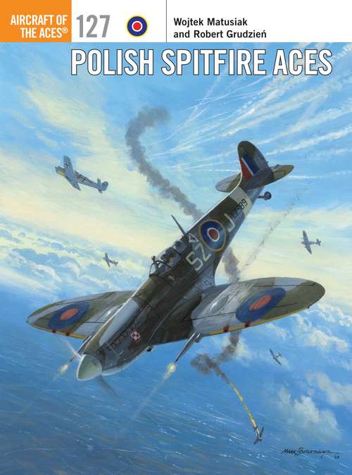 Book cover of Polish Spitfire Aces (Aircraft of the Aces)