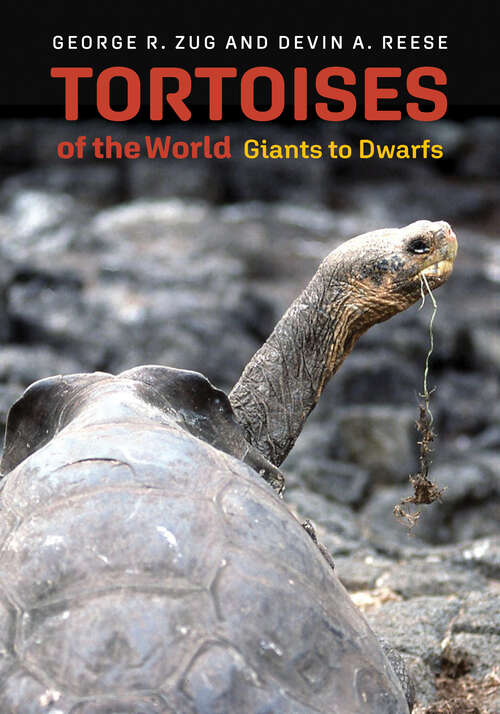 Book cover of Tortoises Of The World: Giants To Dwarfs