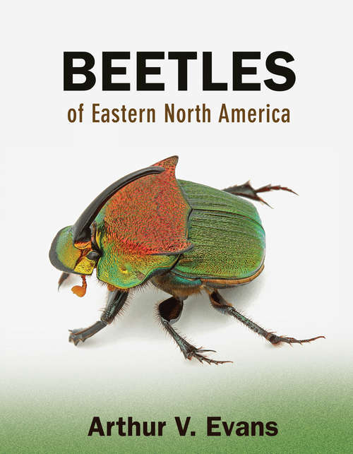 Book cover of Beetles of Eastern North America (PDF)
