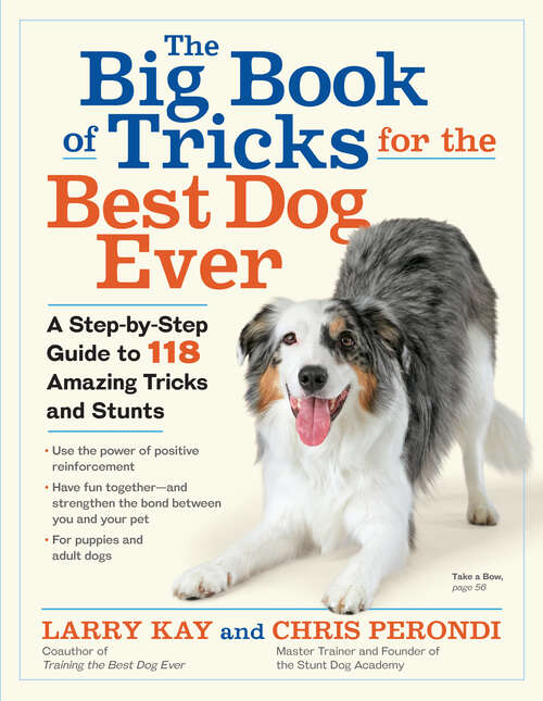 Book cover of The Big Book of Tricks for the Best Dog Ever: A Step-by-Step Guide to 118 Amazing Tricks and Stunts