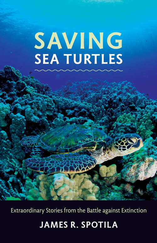 Book cover of Saving Sea Turtles: Extraordinary Stories from the Battle against Extinction