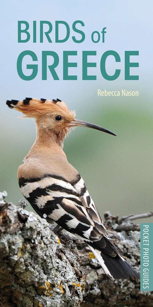 Book cover of Birds of Greece (Pocket Photo Guides)