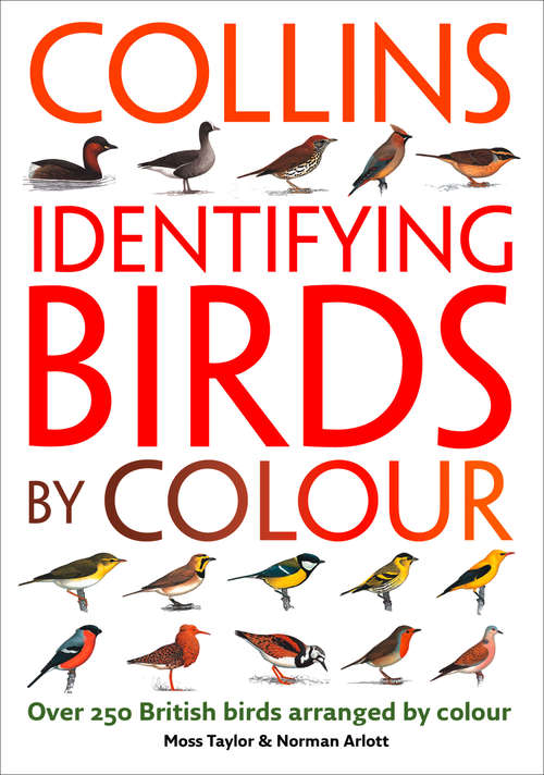 Book cover of Identifying Birds by Colour (ePub edition)