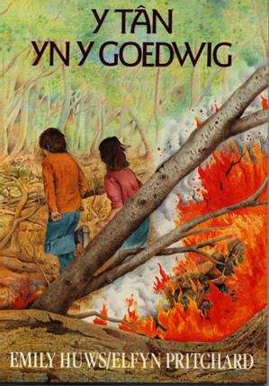 Book cover of Y Tân yn y Goedwig