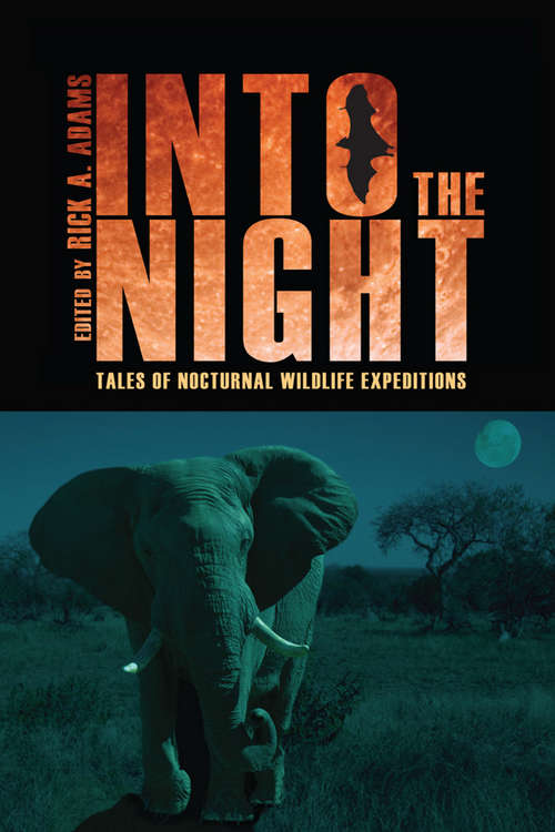 Book cover of Into the Night: Tales of Nocturnal Wildlife Expeditions
