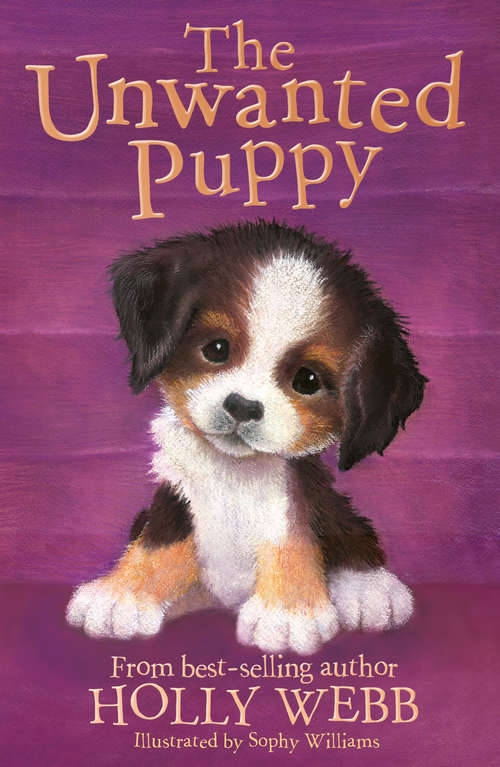 Book cover of The Unwanted Puppy (Holly Webb Animal Stories #38)