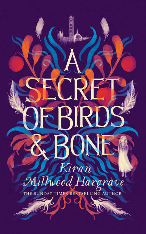 Book cover of A Secret Of Birds And Bone (paperback) (2)