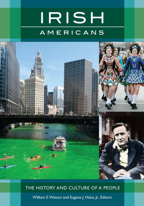Book cover of Irish Americans: The History and Culture of a People