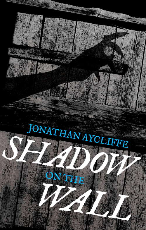 Book cover of Shadow On The Wall: A Novel (Camden Ser.)