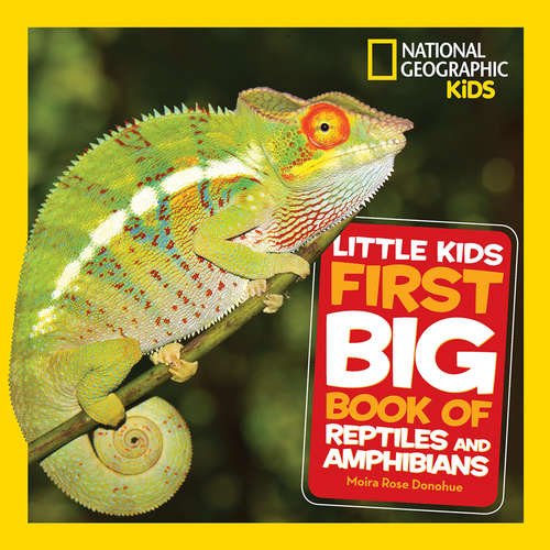 Book cover of Little Kids First Big Book of Reptiles and Amphibians (Little Kids First Big Books)