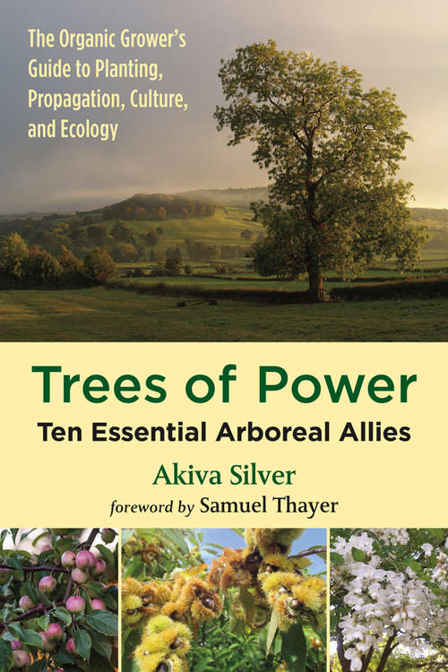 Book cover of Trees of Power: Ten Essential Arboreal Allies