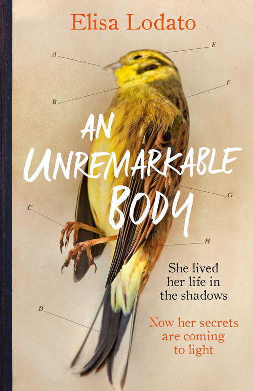 Book cover of An Unremarkable Body: Shortlisted for the Costa First Novel Award 2018