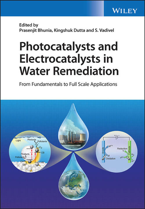 Book cover of Photocatalysts and Electrocatalysts in Water Remediation: From Fundamentals to Full Scale Applications