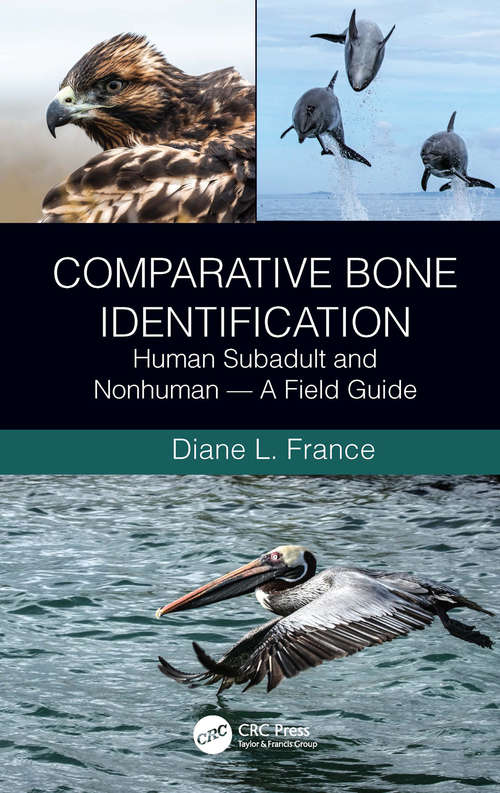 Book cover of Comparative Bone Identification: Human Subadult and Nonhuman  - A Field Guide (2)