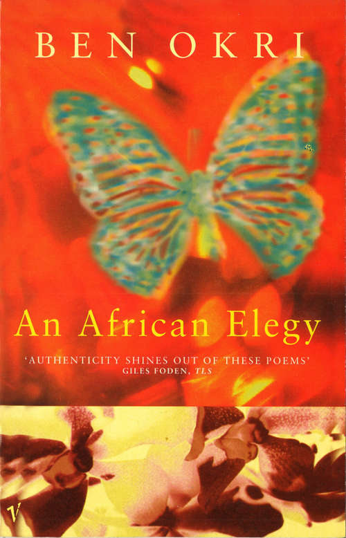 Book cover of An African Elegy