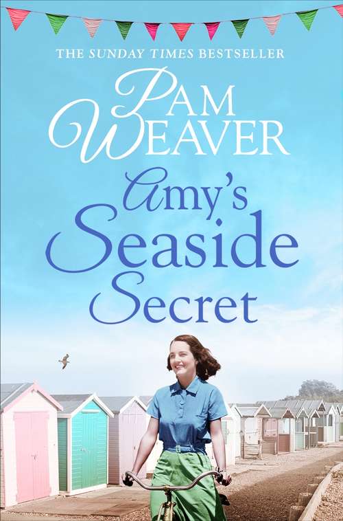 Book cover of Amy's Seaside Secret