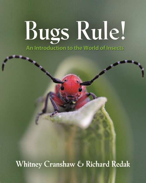 Book cover of Bugs Rule!: An Introduction to the World of Insects