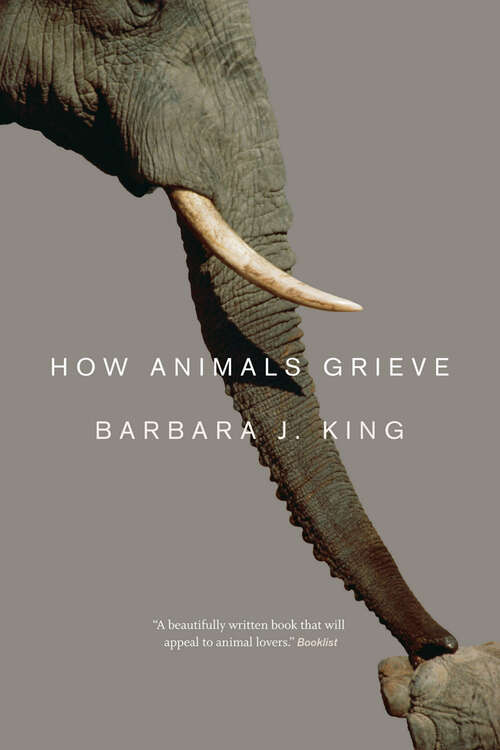 Book cover of How Animals Grieve