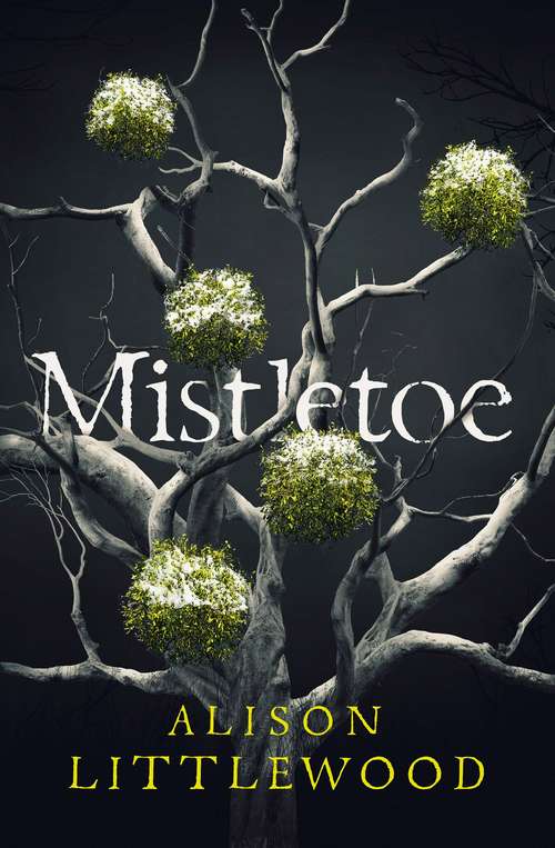 Book cover of Mistletoe: a haunting festive horror perfect for Christmas 2020
