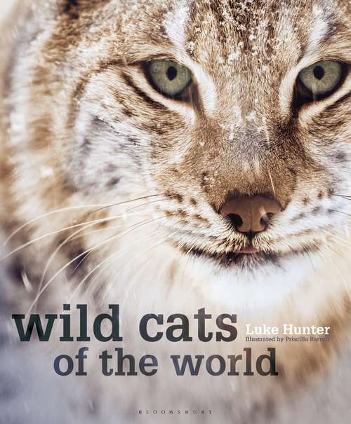 Book cover of Wild Cats of the World