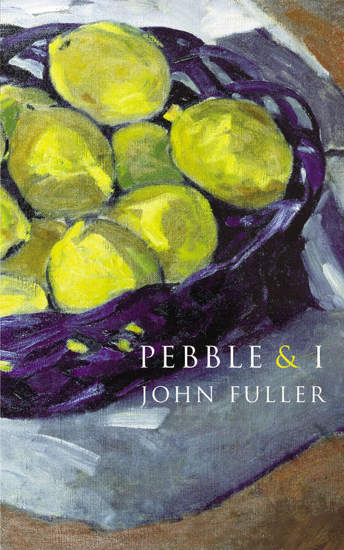 Book cover of Pebble & I