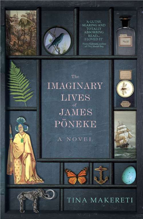 Book cover of The Imaginary Lives of James Poneke