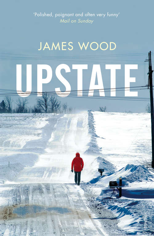 Book cover of Upstate