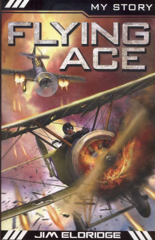 Book cover of Flying Ace (PDF)
