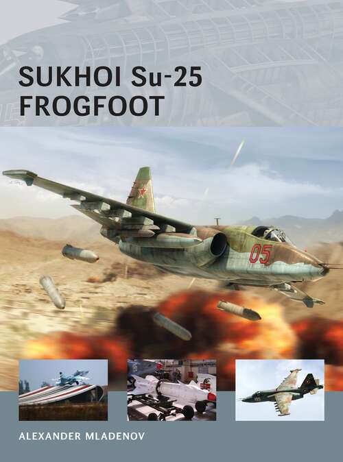 Book cover of Sukhoi Su-25 Frogfoot (Air Vanguard)