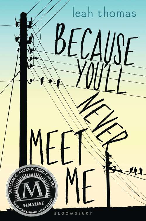 Book cover of Because You'll Never Meet Me (Because You'll Never Meet Me Ser.)