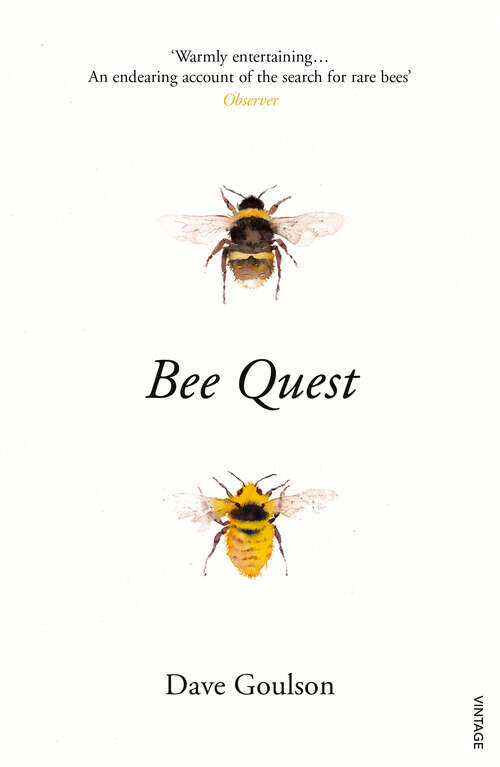 Book cover of Bee Quest