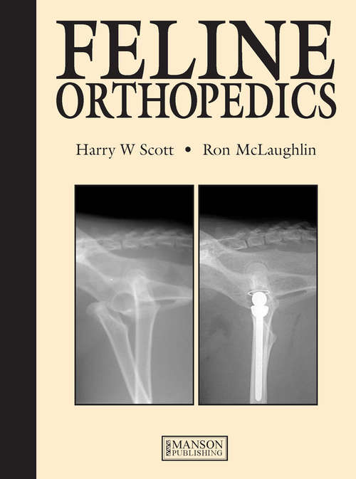 Book cover of Feline Orthopedics
