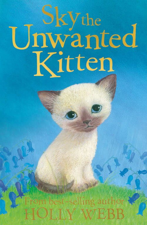 Book cover of Sky the Unwanted Kitten: Sky The Unwanted Kitten, Ginger The Stray Kitten, Misty The Abandoned Kitten (Holly Webb Animal Stories #6)