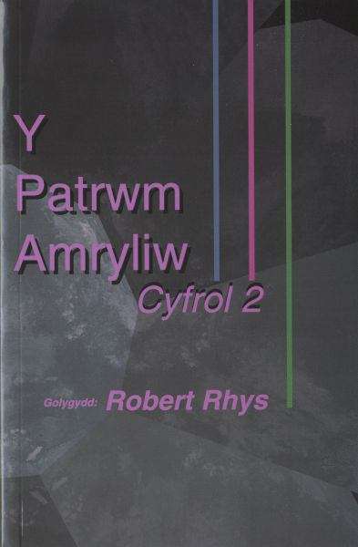 Book cover of Y Patrwm Amryliw: Cyfrol 2