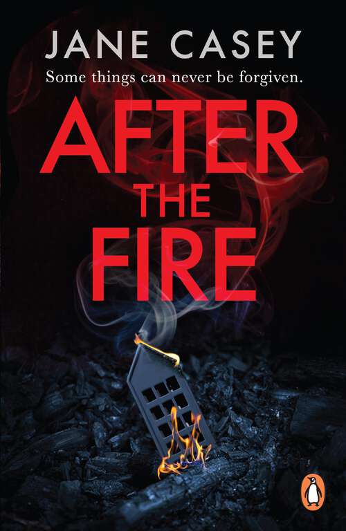 Book cover of After the Fire: (Maeve Kerrigan 6) (Maeve Kerrigan Ser. #6)