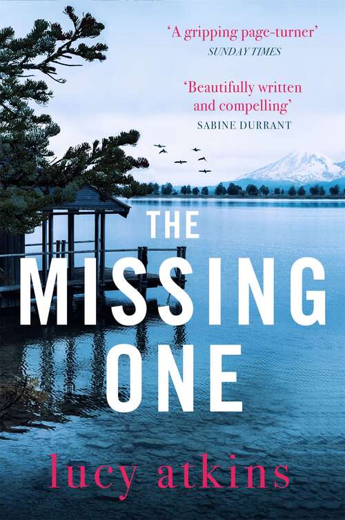 Book cover of The Missing One: The unforgettable domestic thriller from the critically acclaimed author of THE NIGHT VISITOR