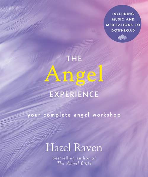 Book cover of The Angel Experience: Your Complete Angel Workshop Book with Audio Downloads (Experience Series #1)