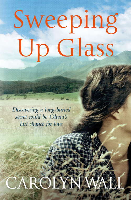 Book cover of Sweeping Up Glass