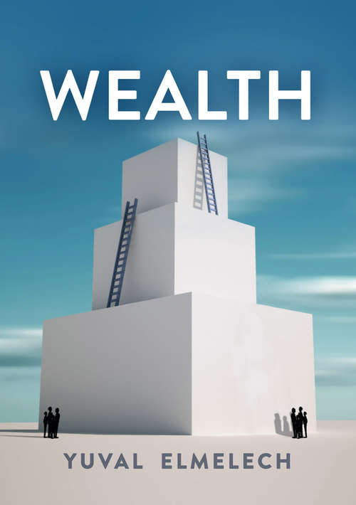 Book cover of Wealth: Wealth And The American Family (Economy and Society)