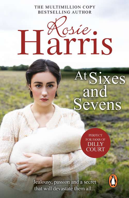 Book cover of At Sixes And Sevens