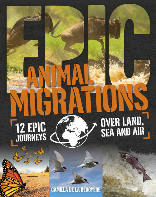 Book cover of Animal Migrations: Animal Migrations (Epic! #3)