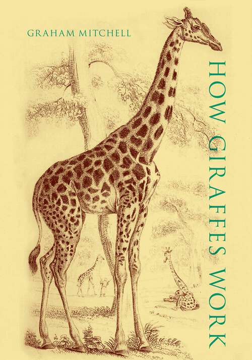 Book cover of How Giraffes Work